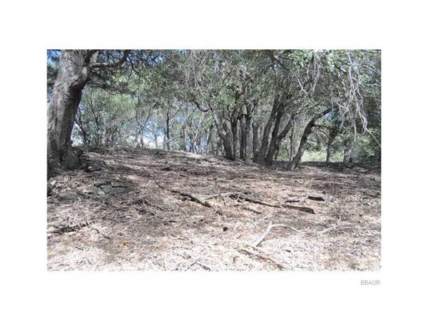 0 Mojave River RD, Cedarpines Park, CA 92322