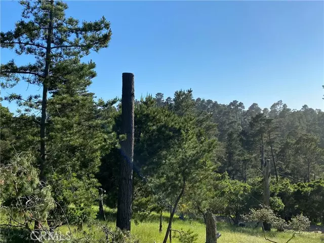 0 Richard AVE, Cambria, CA 93428