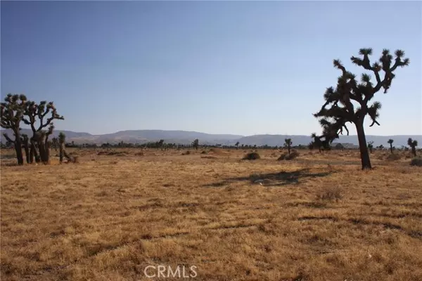 0 Vac/Cor Avenue L8/25 Stw, Lancaster, CA 93536