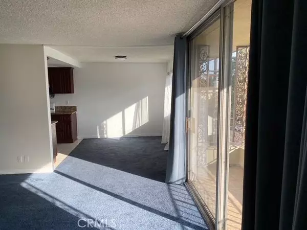 Toluca Lake, CA 91602,10707 Camarillo 317