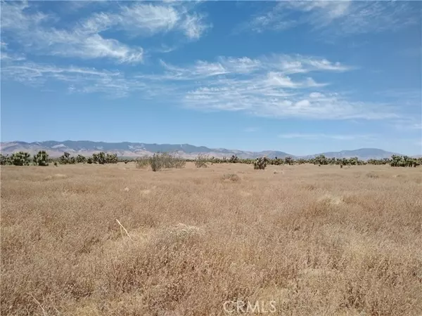 0 VIC Ave A &242nd St West, Rosamond, CA 93560