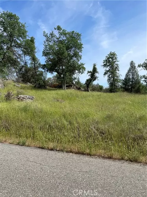 Mariposa, CA 95338,4371 Burl DR