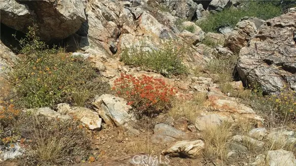 Bass Lake, CA 93604,0 snow hut