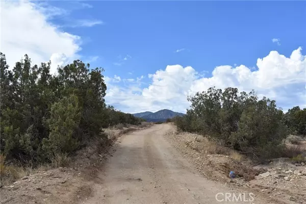 Llano, CA 93544,59500 Vac/Ave Y/185 Ste