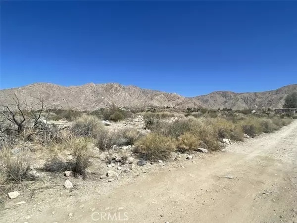 Morongo Valley, CA 92256,12 Encilia