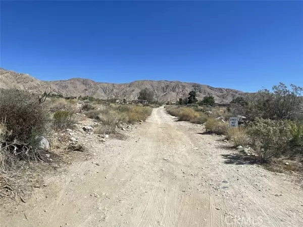 Morongo Valley, CA 92256,12 Encilia