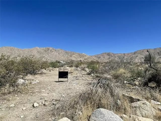 Morongo Valley, CA 92256,12 Encilia