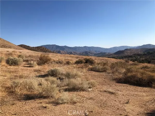 Acton, CA 93510,0 VACANT