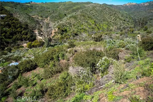 Malibu, CA 90265,0 lot 2 Latigo Canyon RD