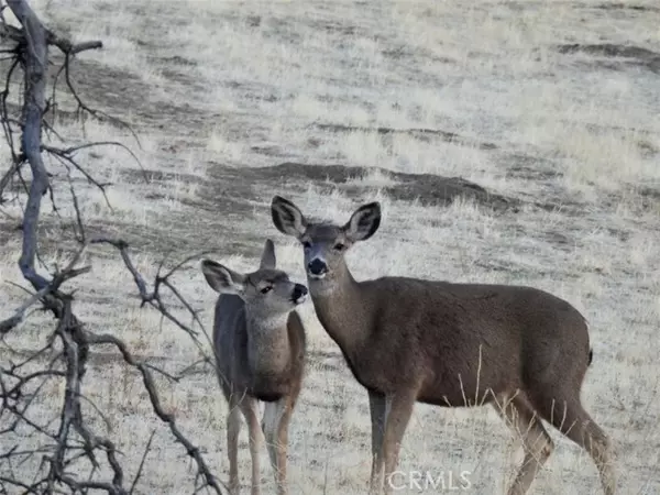 Tehachapi, CA 93561,21806 Mariposa RD