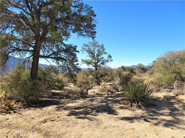 27 Scenic DR, Mountain Center, CA 92561