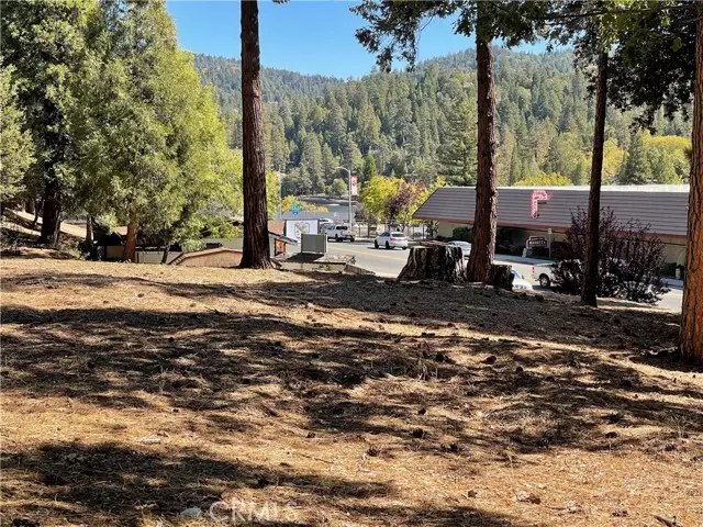 0 Lake DR, Crestline, CA 92325