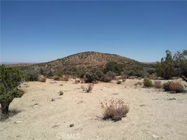 CA 93543,0 Vic 116th ST E & Juniper Mesa