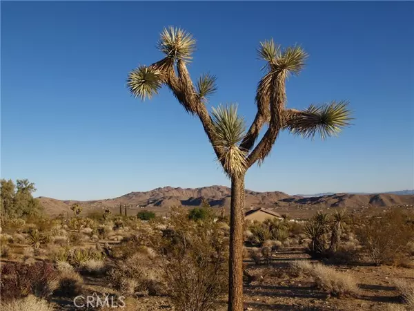 Joshua Tree, CA 92252,7275 Saddleback RD