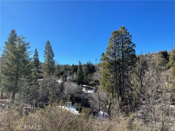 Cedar Glen, CA 92321,0 Jade ST