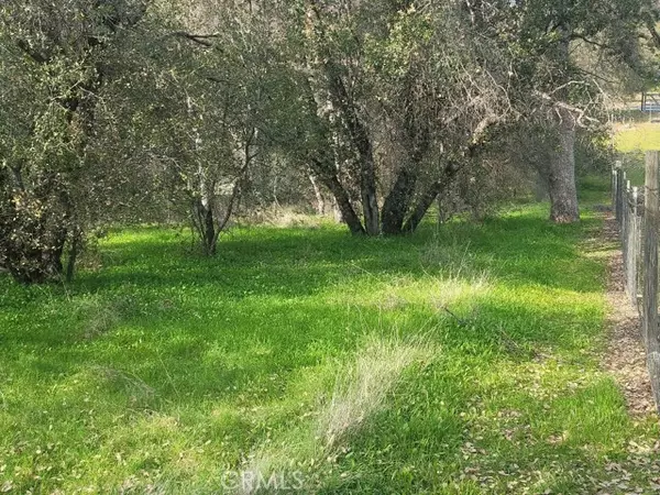 Coarsegold, CA 93614,0 2.8 AC Gold Nugget CT