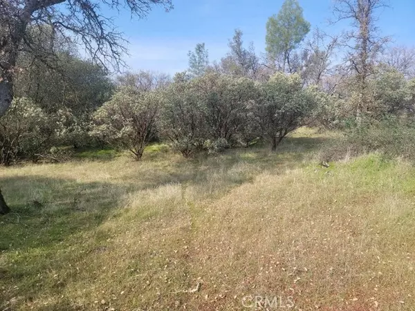 Coarsegold, CA 93614,0 2.8 AC Gold Nugget CT