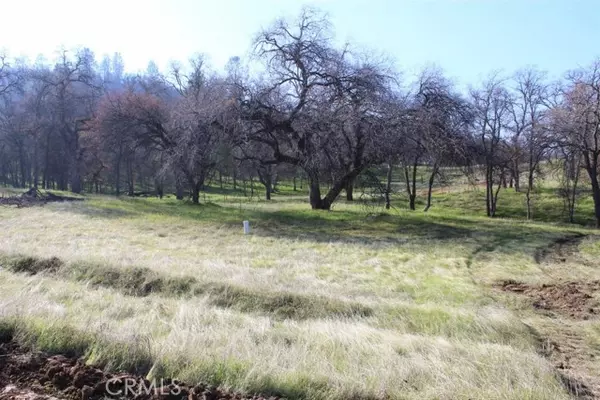 Coarsegold, CA 93614,0 40 AC City View DR