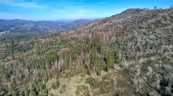 Mariposa, CA 95338,3053 Wild Dove LN