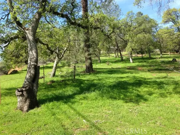 Oroville, CA 95966,0 Valley View DR