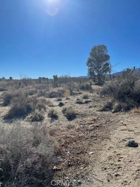 Pinon Hills, CA 92372,0 Mountain RD