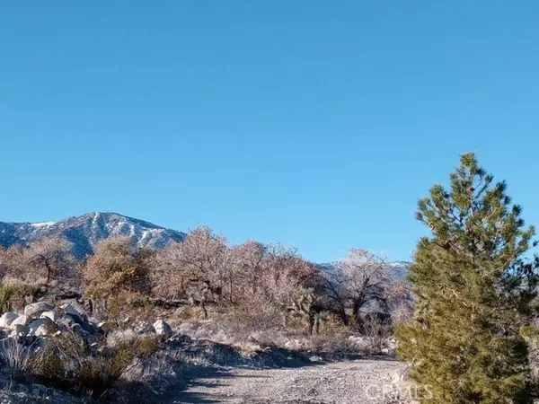 Lucerne Valley, CA 92356,38450 State Highway 18