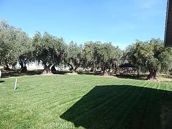 Corning, CA 96021,4925 Lobinger AVE