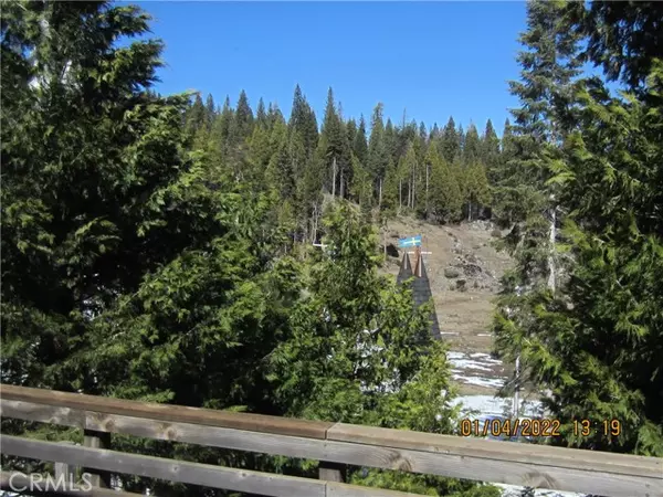 Fish Camp, CA 93623,1193 Silvertip LN