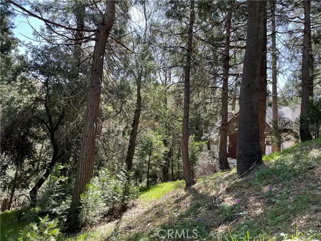 0 Deer, Crestline, CA 92325