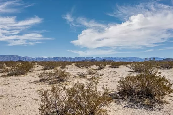 1300 Mt Shasta, Joshua Tree, CA 92252