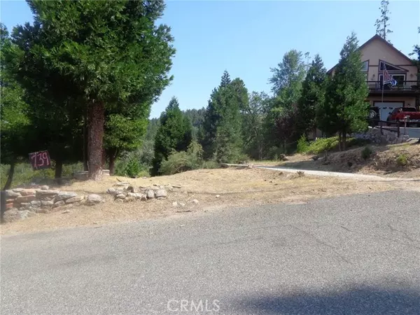 Cedarpines Park, CA 92322,739 Mozumdar DR