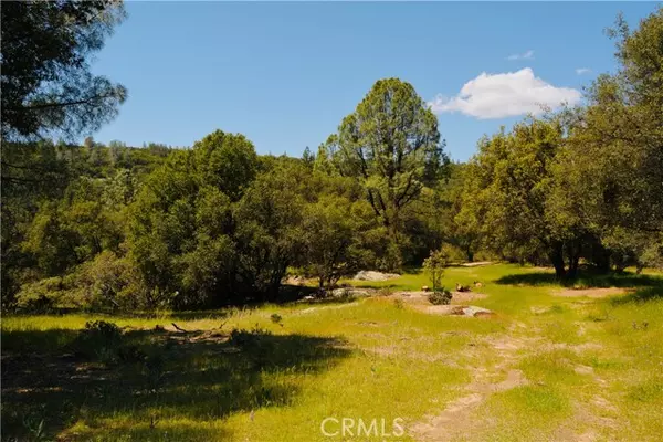 North Fork, CA 93643,34222 Wild Rose LN