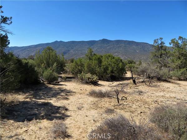 24 Jeraboa RD, Mountain Center, CA 92561