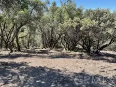 North Fork, CA 93643,1 Woodland Pond TRL