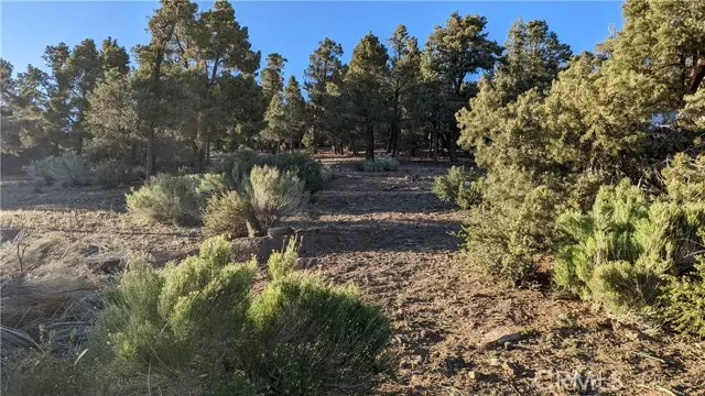 45814 Falling Springs RD, Big Bear City, CA 92314