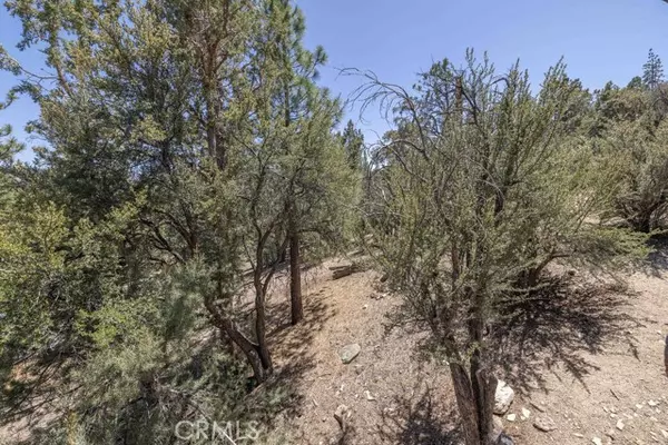 Big Bear Lake, CA 92315,248 Echo Hill RD