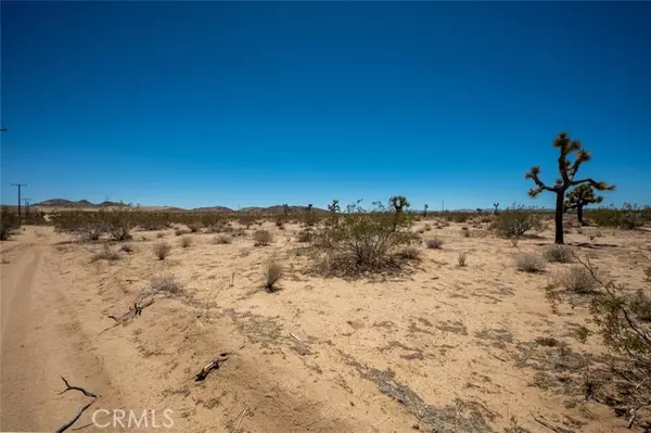 Landers, CA 92285,1234 Landers