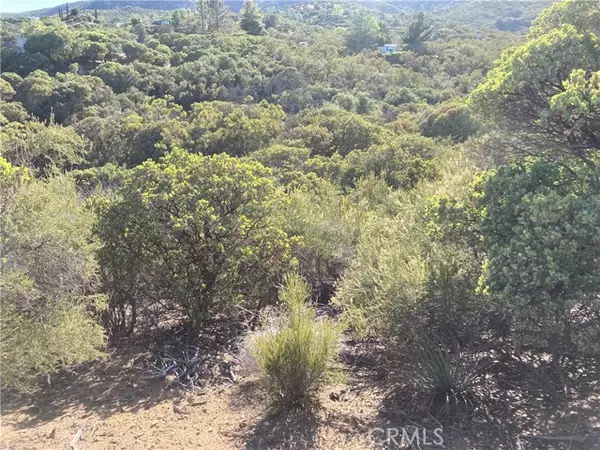 Anza, CA 92539,38111 Manzanita Mountain LN