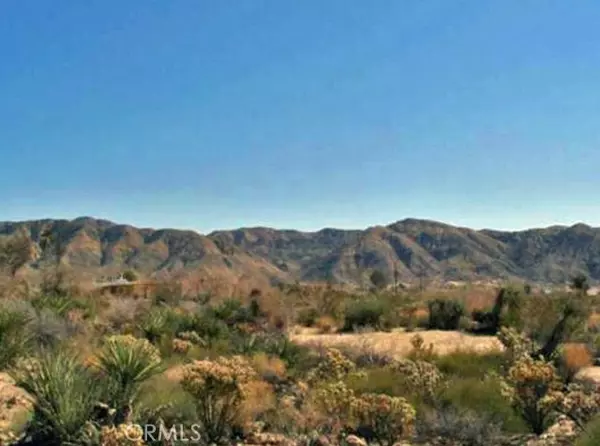 Morongo Valley, CA 92256,8757 Desert Willow