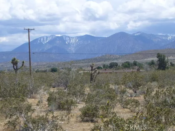 Pearblossom, CA 93553,0 Vac/Pearblossom Hw/Vic Longvie