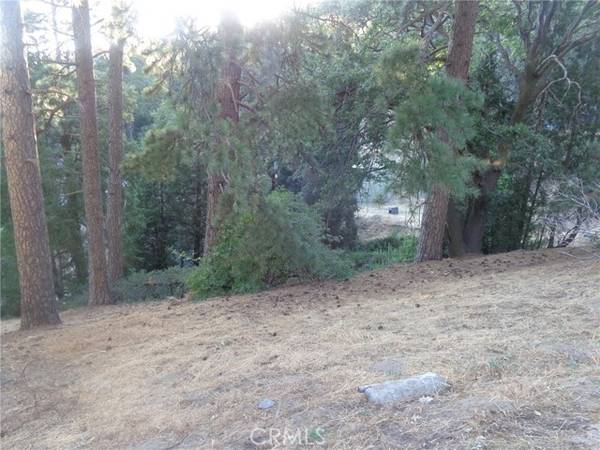 35 Sawpit Canyon RD, Cedarpines Park, CA 92322