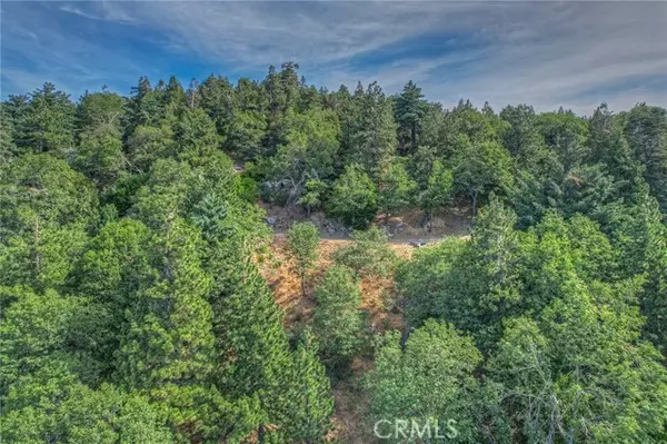 Cedarpines Park, CA 92322,31 Peak CIR