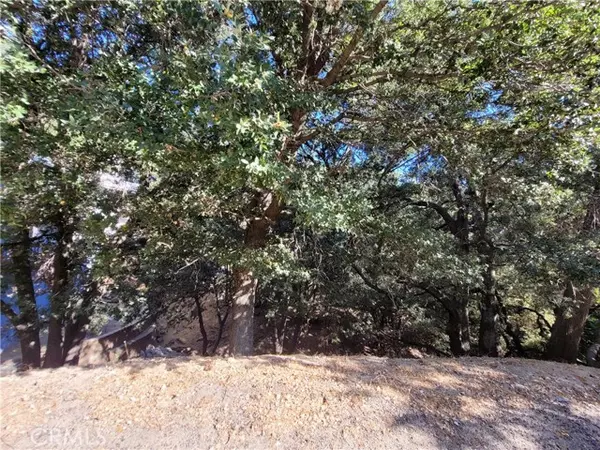 Crestline, CA 92325,0 Berne DR