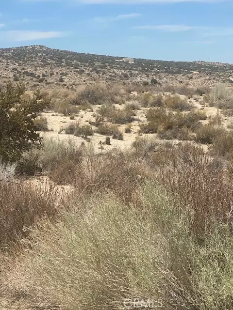 Llano, CA 93544,0 Vac/Ft Tejon Rd/Vic 160th Ste