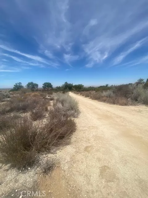 Llano, CA 93544,0 Vac/Ft Tejon Rd/Vic 160th Ste