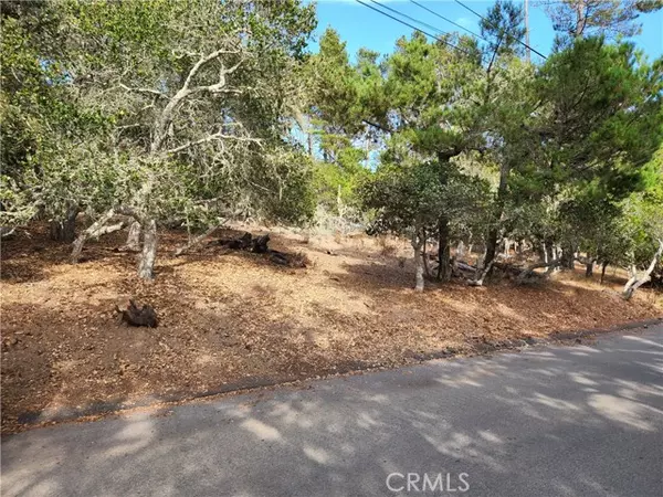 Cambria, CA 93428,0 Norwich AVE