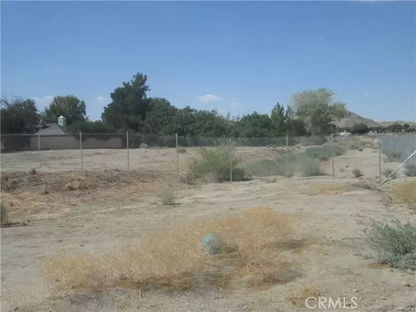 Lake Los Angeles, CA 93591,165 Ave Q