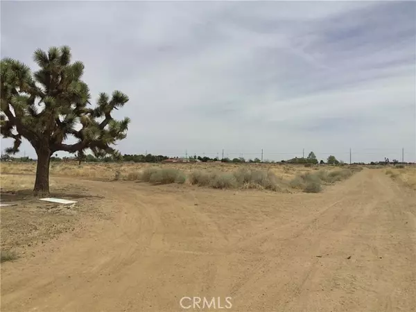 Lancaster, CA 93534,37 Vac/Vic 37th Stw/Ave L8