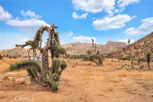 Pioneertown, CA 92268,51561 Chateau RD