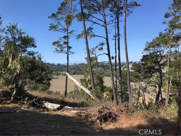 Cambria, CA 93428,3270 Pine CT